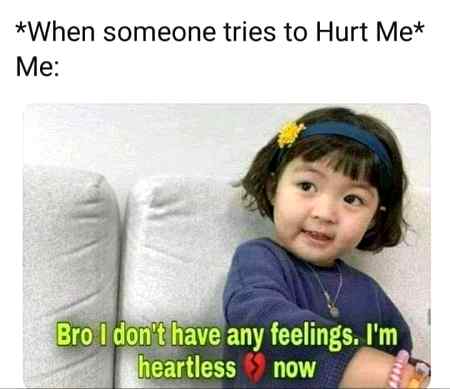 Memes & Satire image