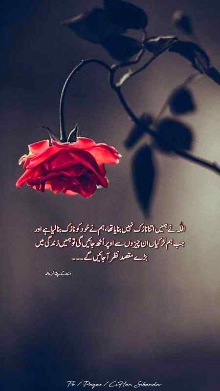 The great writer Nimra Ahmed