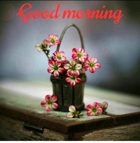 Asslam-u-Alaikum