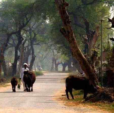 By silentboy☺☺☺☺