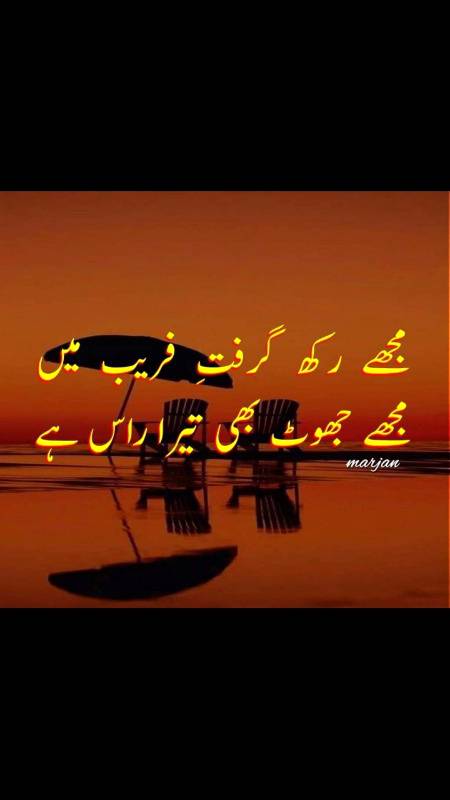 کچھ حادثوں سے گرگۓ محسن زمین پر 🖤
ہم رشک آسمان تھے ابھی کل کی بات ہے