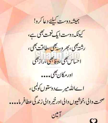 YA ALLAH yahn pe Mere Jitne b Dost hn unko Hemsha Khush rakhna or dmdm k jitne b sisters or brothers hn un sabko b Khush or sehtmand rakhna AMEEN 😶😶😶😶