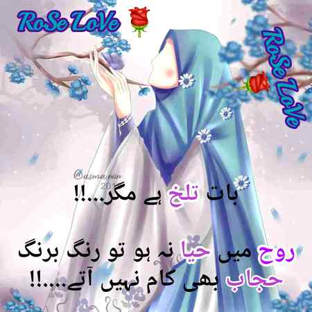 🌹👍🌹👍🌹
👍🌹👍🌹👍
RoSe
🌹👍🌹👍🌹