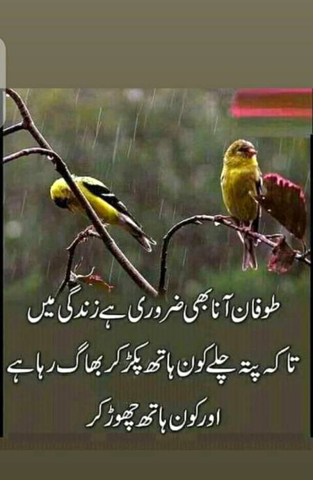 Hmmm kon apna ha🙂