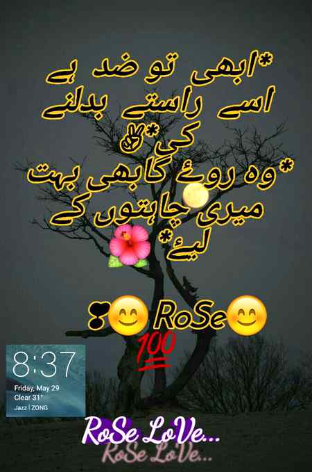 🌹💗🌹💗🌹💗🌹💗RoSe💗🌹💕🌹💕🌹💕