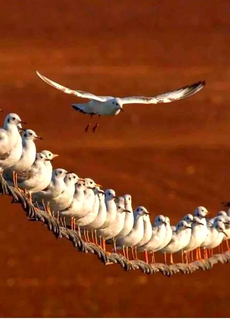 Perfect stunning click!