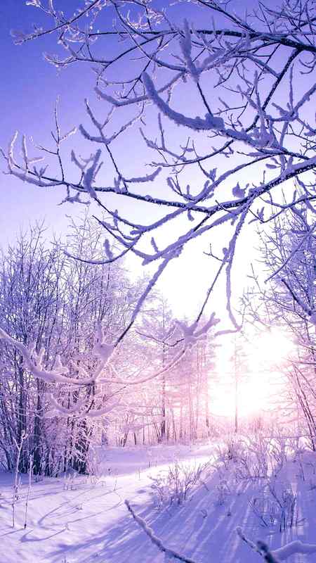 😰 winters are best...