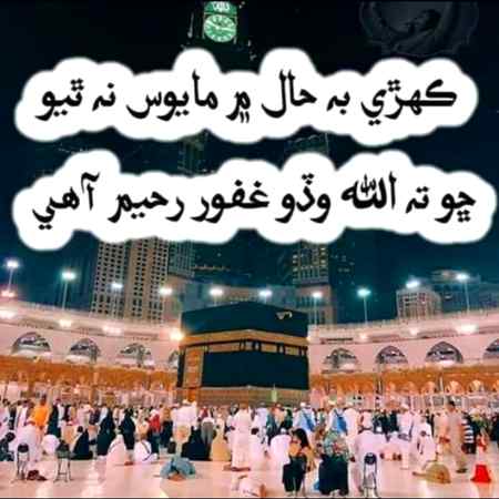 👍👌🌹🌹🌹🌹🌹👌👍