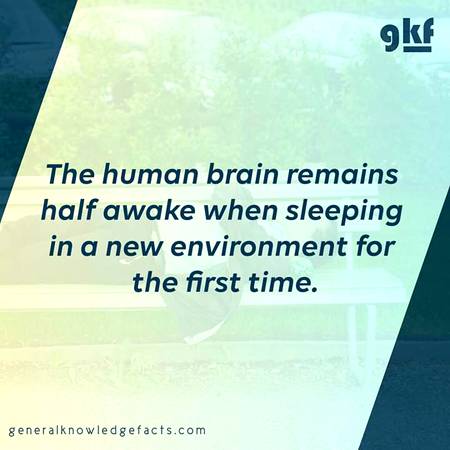 Did you know?