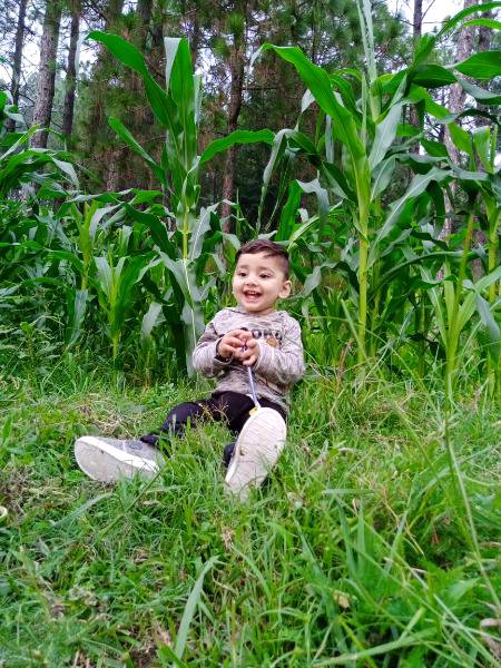 My shonu "ARDAAS" .M5