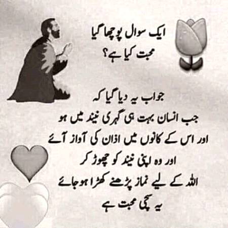 Beshak  beshak
