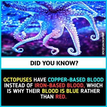DID YOU KNOW??