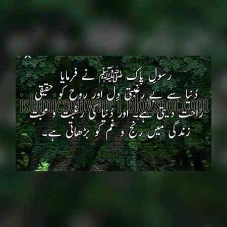 دنیاسے نہیں دنیا بنانے والے سے محبت کرو اور اسے راضی کرو نہ کہ اس کی محتاج دنیا کے لوگوں کو۔