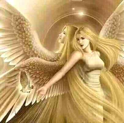 Sending by fareed ahmed shaikh