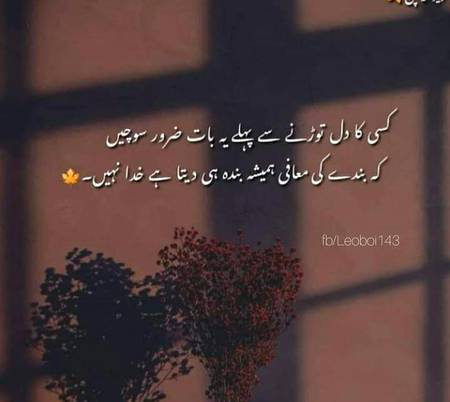 Bilkul 🙂🙂🙂🙂