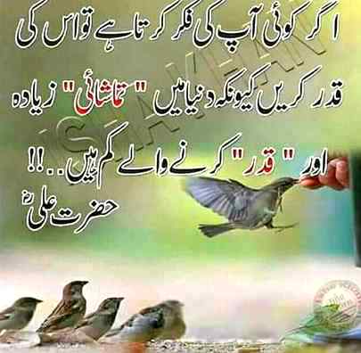 Agr koi ap ke ..