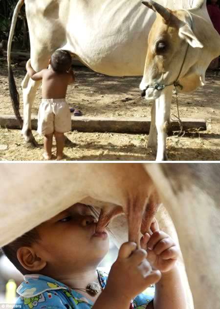 Hungry lives find the source of food