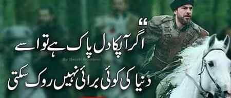 Beshak....🤩👌👌👌