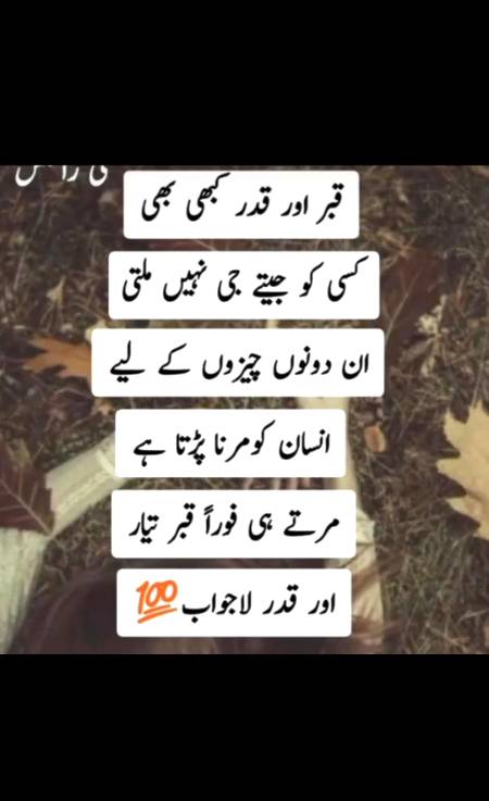Reality of life