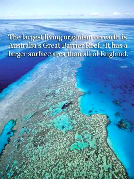 Beautiful ❤️❤️