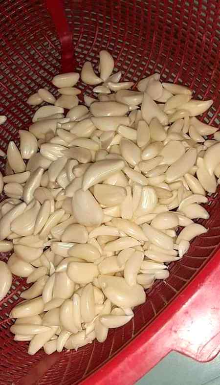 یہ کاجو ہیں یا چھلے ہوئے بادام😉😉