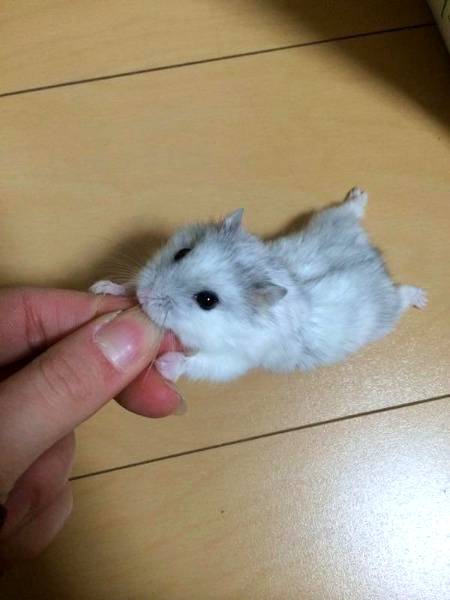 Cute...😍