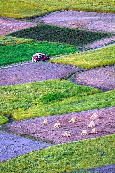 Fields of Shimshal Orthern pakistan 🔥🔥