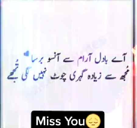 🌷🌷🌷🌼🌷🌷🌻🌱🌱🌲🌻