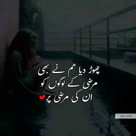 چھوڑ دیا ہم نے بھی