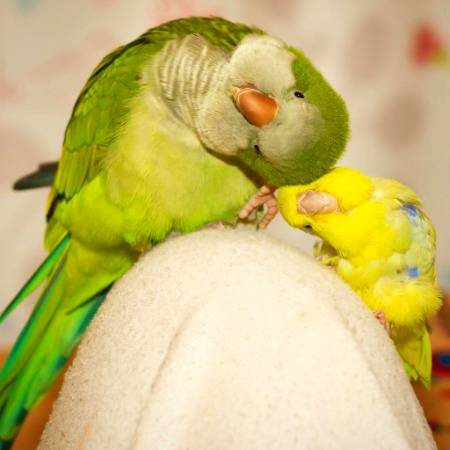 *بات ایسے محبت اور خلوص سے کیا کریں کہ...!*

*آپ کے گھر والے صبح آپ کو اُٹھ کر تلاش کیا کریں...!😊*

*محبت کی جڑیں بہت گہری ہوتی ہیں...!* 

*آپ کی محبت سے آپ کے اپنوں کو آپ کی موجودگی سے سکون ملتا ہے...!*

*اے اللّٰہ! ہمیں دنیا و آخرت کا سکون عطاء فرما آمین...*