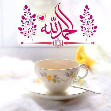 🌹✨🌹الْحَمْدُ لِلَّهِ رَبِّ الْعَالَمِينَ🌹✨🌹