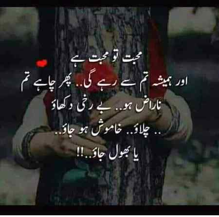 Chahy bhool jao 😞😞💔💔💔💔