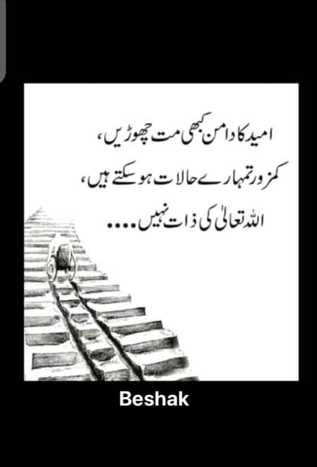Han g beshak😍