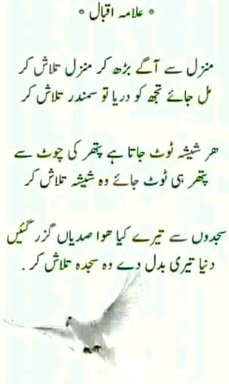 Exactly right😊😇😇😇