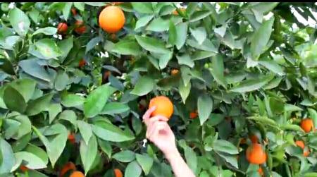 💖me and my garden💖😳