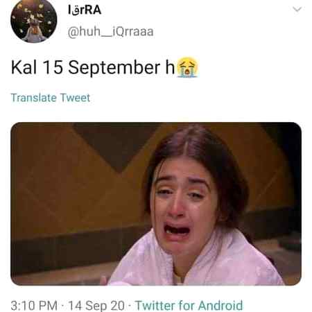 Memes & Satire image