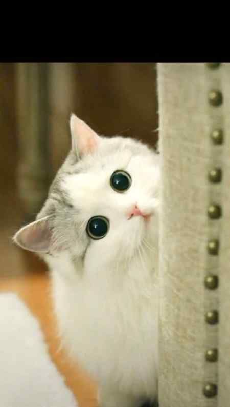 Yea kitny cutee hai ππππππ