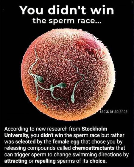 My whole life has been a freaking Lie🙄