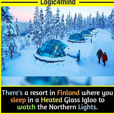 DID YOU KNOW??