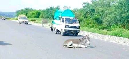 Za zanla soba yam.na truk manam na rickshaw manam na bus manam