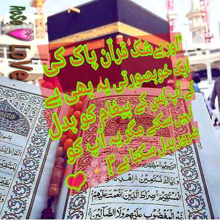 👍🌹👍🌹👍🌹RIGHT🌹👍🌹👍🌹