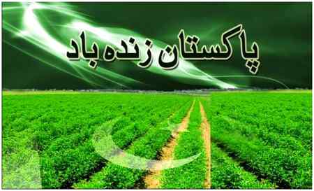 ...💚💚💚💚...