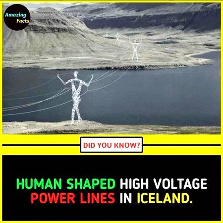 DID YOU KNOW??