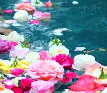 🌹اَلسَلامُ عَلَيْكُم وَرَحْمَةُ اَللهِ وَبَرَكاتُهُ🌹 
خوبصورت زندگی خود بخود نہیں بن جاتی بلکہ اس کی تعمیر روزانہ کی دعاوں پر ہوتی ہے،
دعا کیجئے، دعا دیجیئے اور دعا لیجئے،
میری دل کی گہرائیوں سے یہ دعا ہے کہ رب کریم سب کی خوبصورت زندگی کو دین و دنیا کی تمام خوشیوں
سے مالا مال کردے... 🌹آمیــن ثـم آمیــن یَارَبَّ العَالَمِین🌹