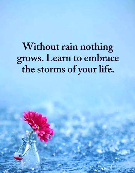 "Every storm 
runs out 
of rain." 

~ Maya Angelou