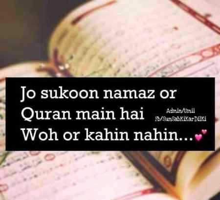 میں نے گر کر دیکھا ہے یارب
تیرے سوا کوئی نہیں اٹھاتا
Anu Malik😍🤗😇