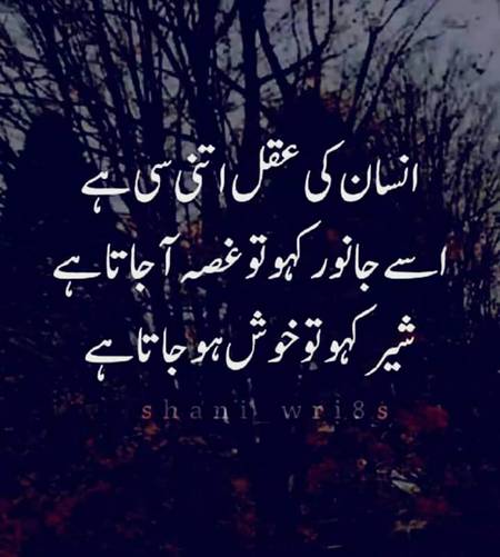 Nice word