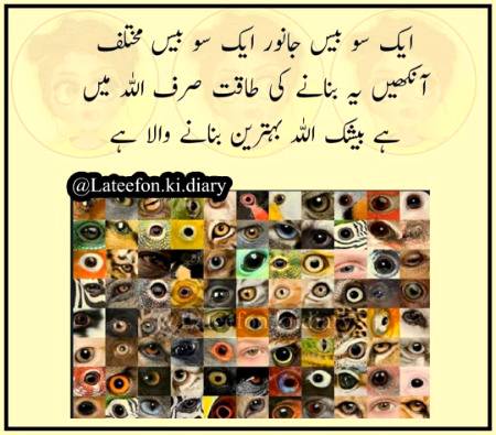 BeshaK💞💞💝💝💛...