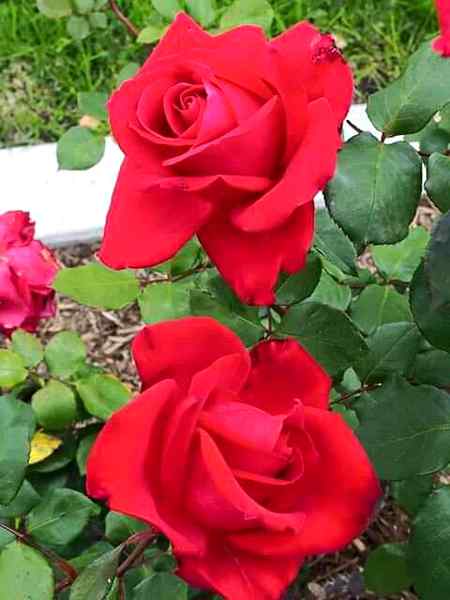 Just for you 😐😑