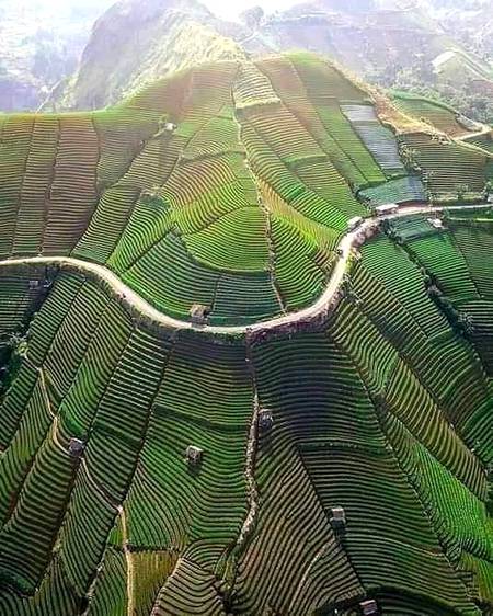 Beautiful photography